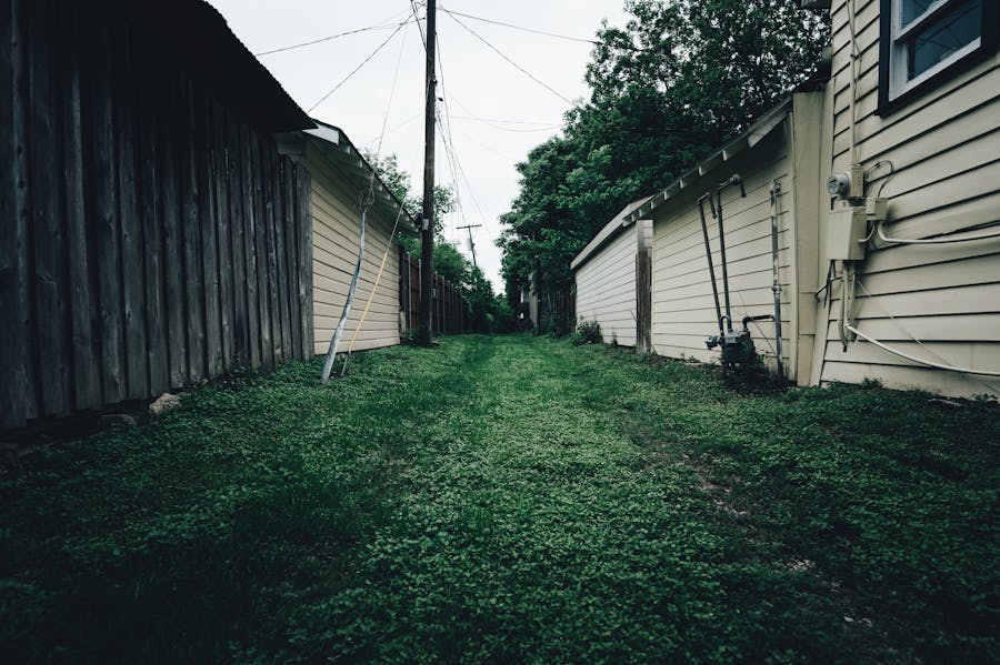 Freshly mowed green lawn